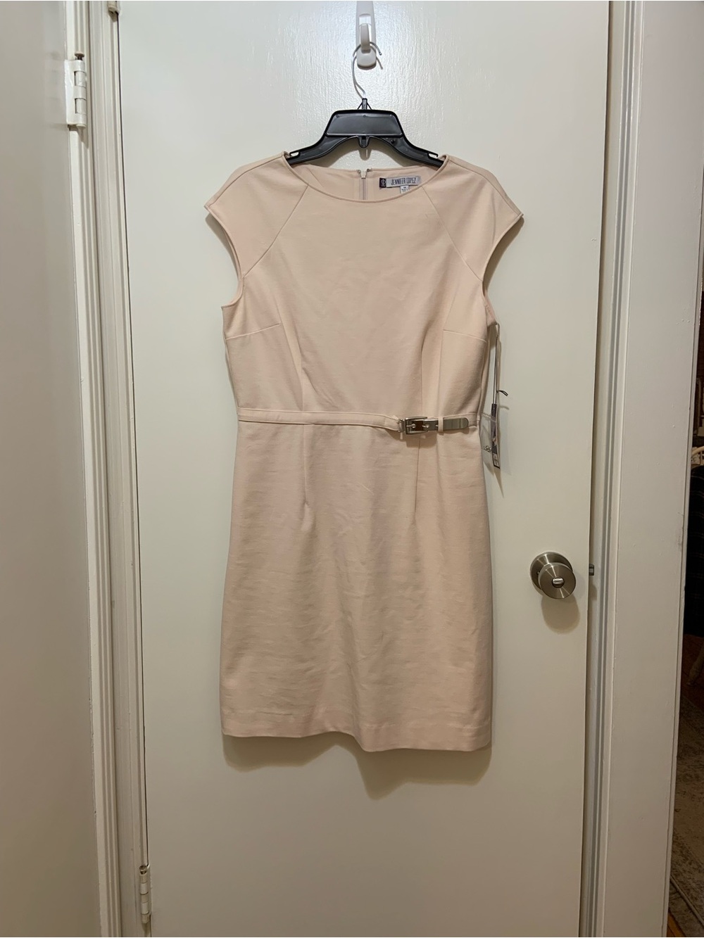 Jennifer Lopez Cap-Sleeve Sheath Dress in Light Blush Size 14 NWT